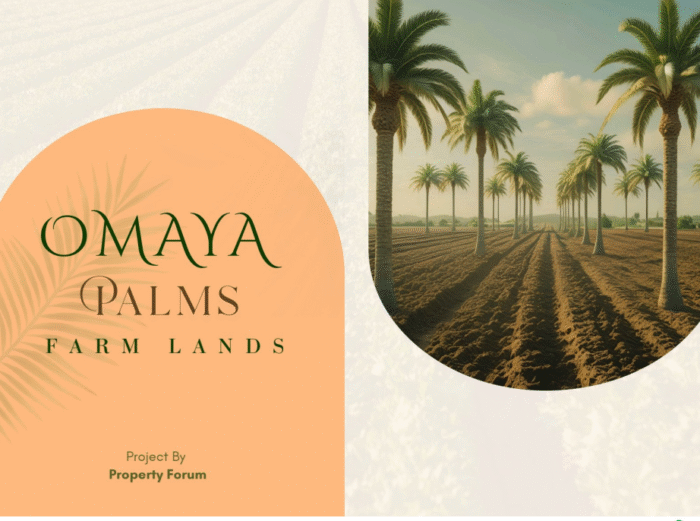 Screenshot 2025-11-15 032040