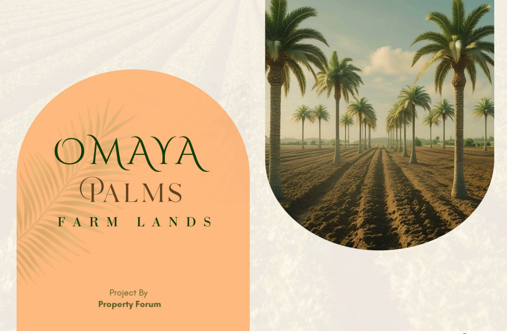 Screenshot 2025-11-15 032040