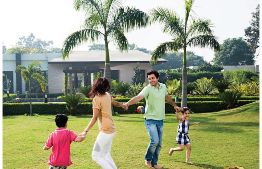 Squarefield_Final_compressed(2)_page-0001